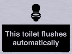 This toilet flushes automatically